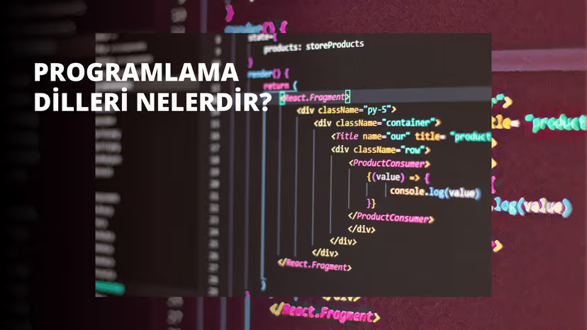 Programlama Dilleri